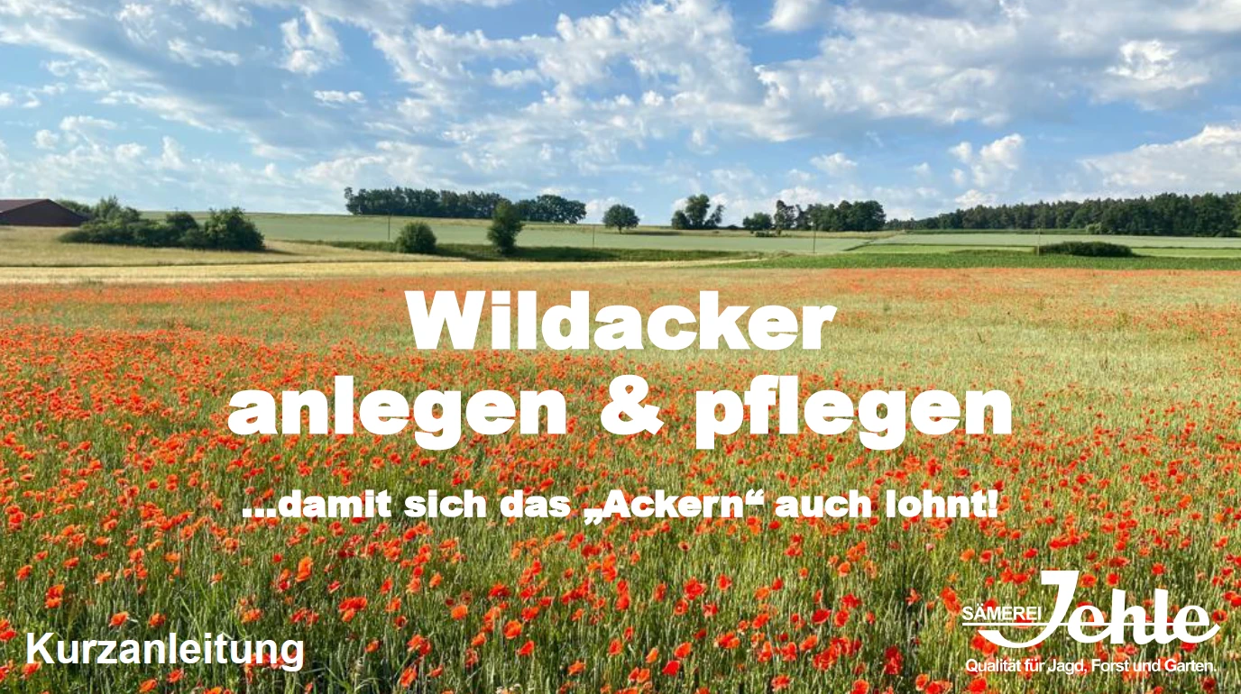 Wildcker mit Plan - Kurzanleitung - Wildackerberatungsstelle Jehle. Alles  fr den Wildacker.